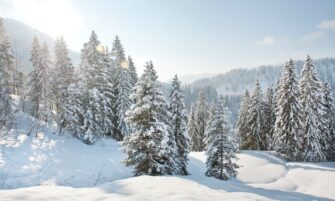 Super-Besse : 1, 2, 3, 5 ou 7 nuits à l'hôtel les...