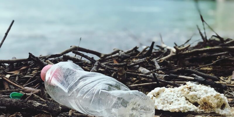 Comment éviter les bouteilles plastiques ? Découvrez la gourde inox !